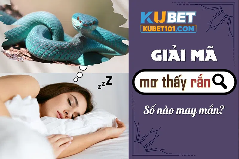 Kubet giải mã nằm mơ thấy rắn và ý nghĩa của nó