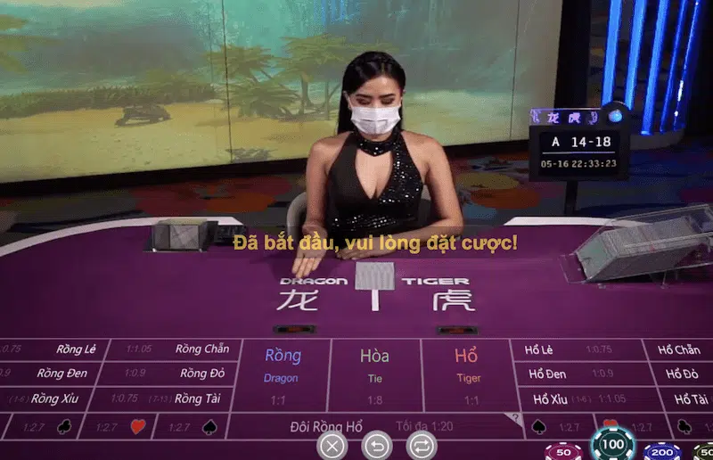 Thông tin về sảnh game Rồng Hổ Kubet mà bet thủ nên biết