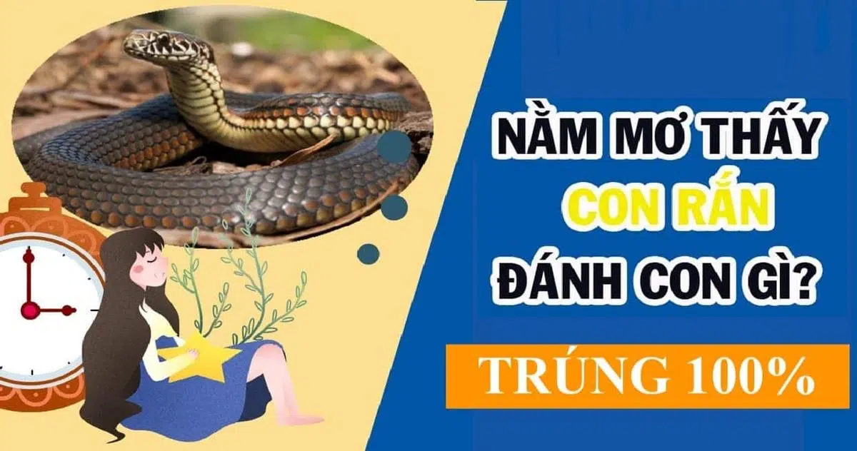 Đánh đề con gì về việc nằm mơ thấy rắn