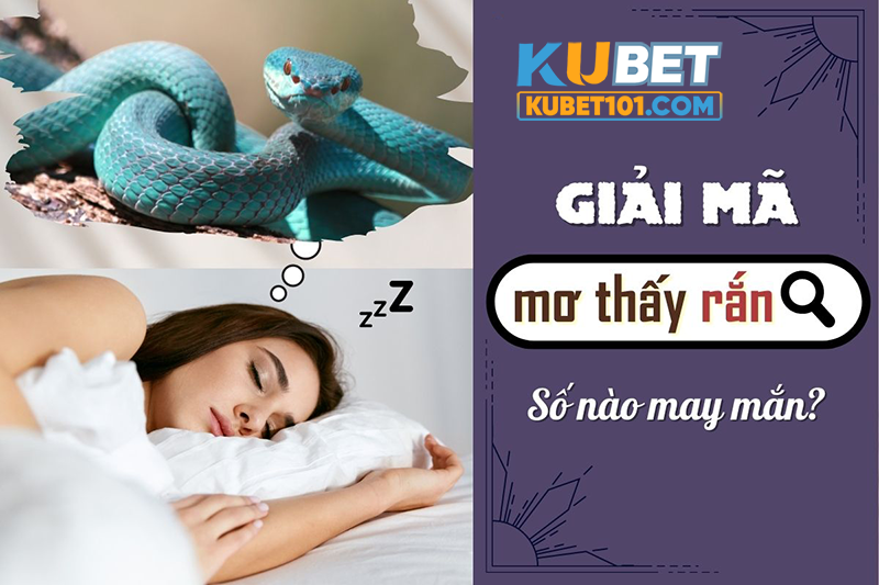 Kubet giải mã nằm mơ thấy rắn và ý nghĩa của nó